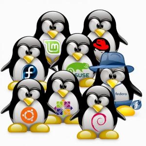 HARDWARE Y SOFTWARE