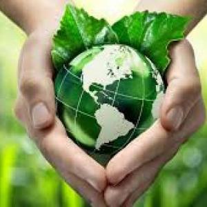 ECO TRIVIA