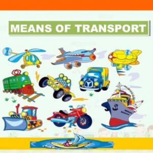 MEANS OF TRANSPORT