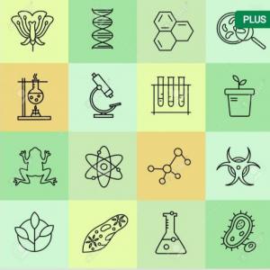 CIENCIAS