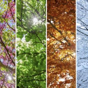 Naturaleza