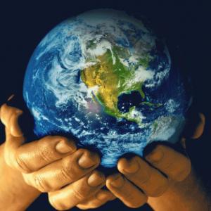 Interacciones con el medio ambiente