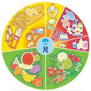 GRUPOS DE ALIMENTOS