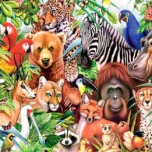 Imagen de portada del videojuego educativo: Clasificación del Reino Animal , de la temática Biología