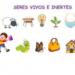 seres vivos