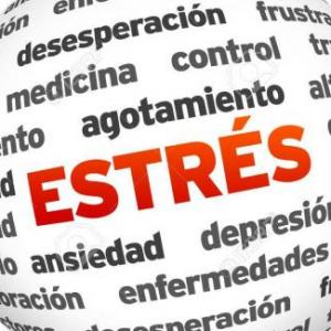 EL ESTRES