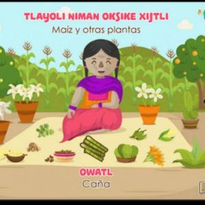 Imagen de portada del videojuego educativo: Memorama de palabras en náhuatl, de la temática Lengua