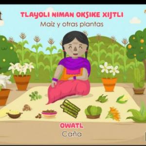 Imagen de portada del videojuego educativo: Palabras en náhuatl, de la temática Lengua