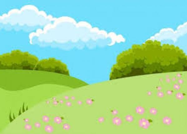 NATURALEZA
