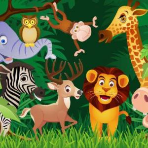 animales de la selva