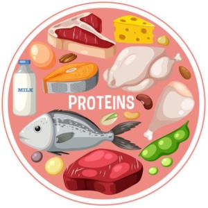 Mide tu Conocimiento sobre las Proteinas - (UNAD)