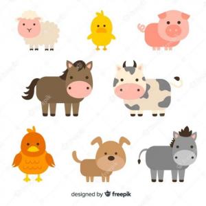 animales