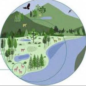 Patrones y tipos de biodiversidad