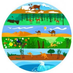 Niveles de la Biodiversidad