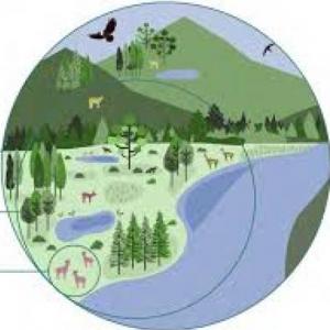 Patrones y tipos de biodiversidad