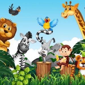 Animals