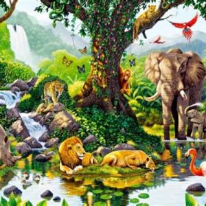 ECOSISTEMAS 