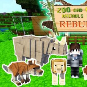 animals and verbs.