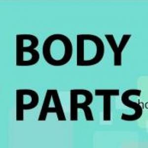My body