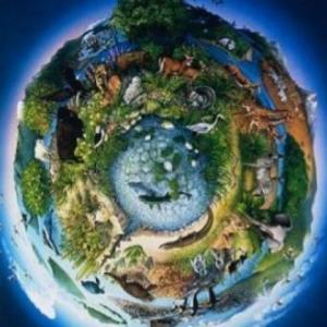 Ecosistemas