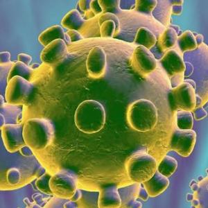 Coronavirus