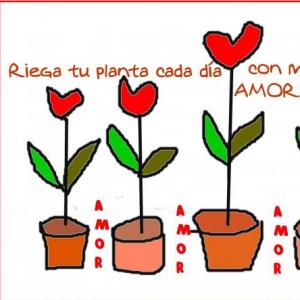 MemoPlantas