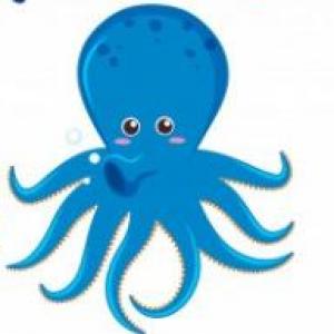 Memotest Animales Acuáticos