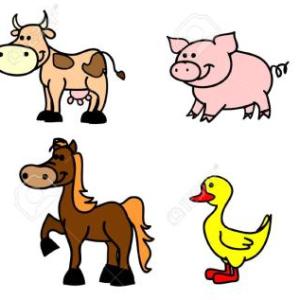 animales domesticos