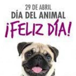 Correspondencia 
