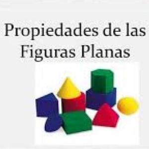 Geometría y medida