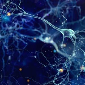 Imagen de portada del videojuego educativo: Sinapsis Neuronal, de la temática Salud