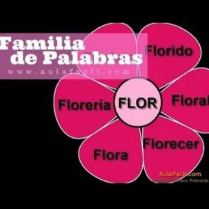 Familia de palabras 