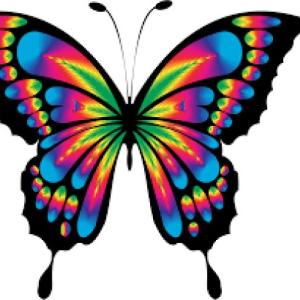 mariposas nivel facil