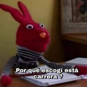 La organización socio técnica inteligente