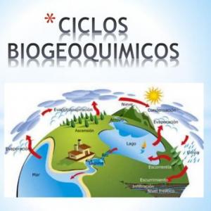 ciclos bioquimicos