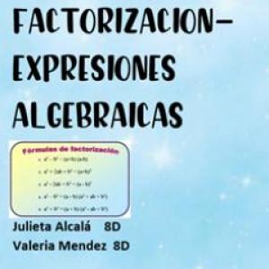 Expresiones algebraicas y factorización