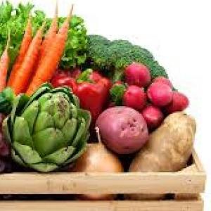 RECONOCIENDO LAS VERDURAS