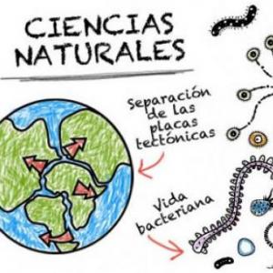 Prueba Ciencias