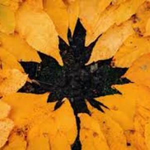 Adivina el otoño