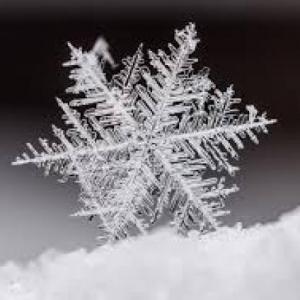 Invierno ahorcado