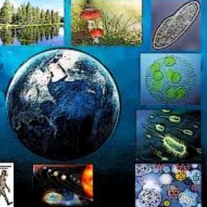"Aprendimos en Ciencias Naturales