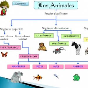 Clasificación de animales