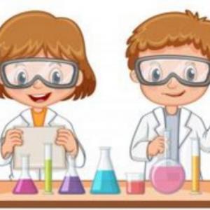 Imagen de portada del videojuego educativo: Memotest de Ciencias, de la temática Ciencias