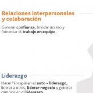 Competencia de comportamiento