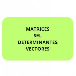 OCA: Matrices, SEL, vectores y determinantes.