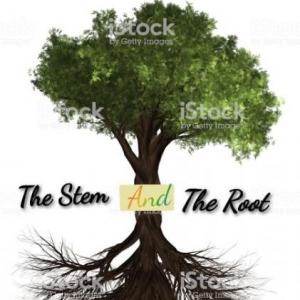 The Stem And The Root