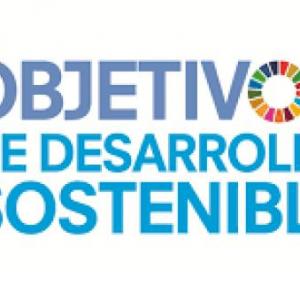 Objetivos de la ONU