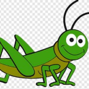 Descubro los insecto números en Letras 