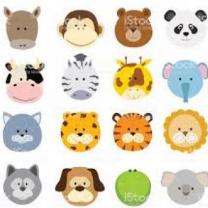 Reconocimiento de animales