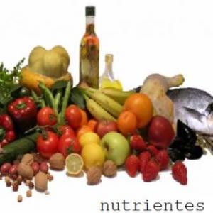 Nutri Nutri
